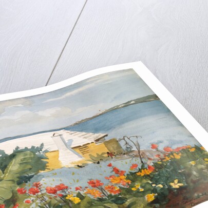 Flower Garden and Bungalow, Bermuda, 1899 by Winslow Homer