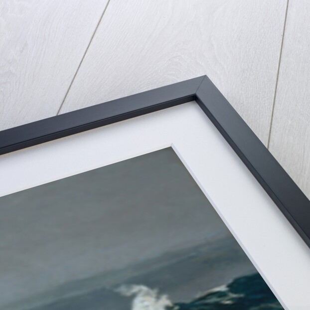 Northeaster, 1895 by Winslow Homer