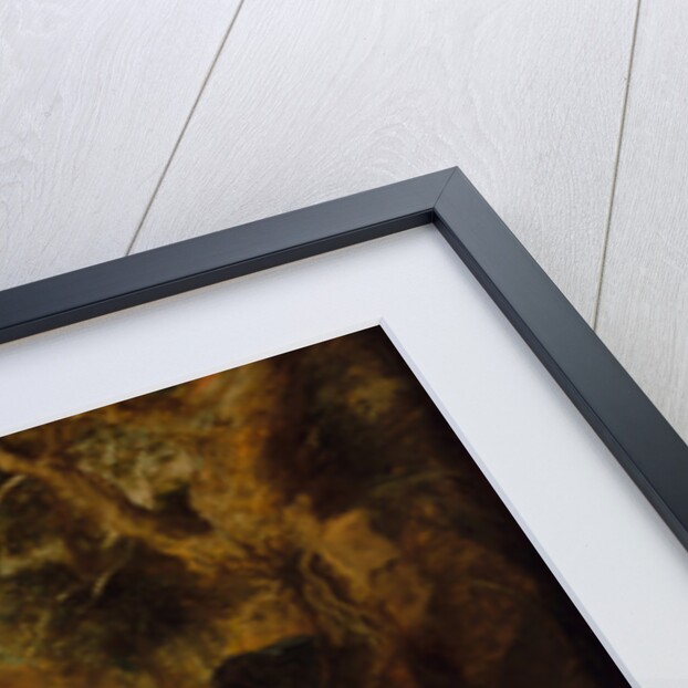 Venus and Adonis, c.1635 by Peter Paul Rubens