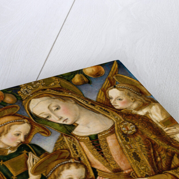 Madonna and Child with Two Angels, c.1481-82 by Vittorio Crivelli