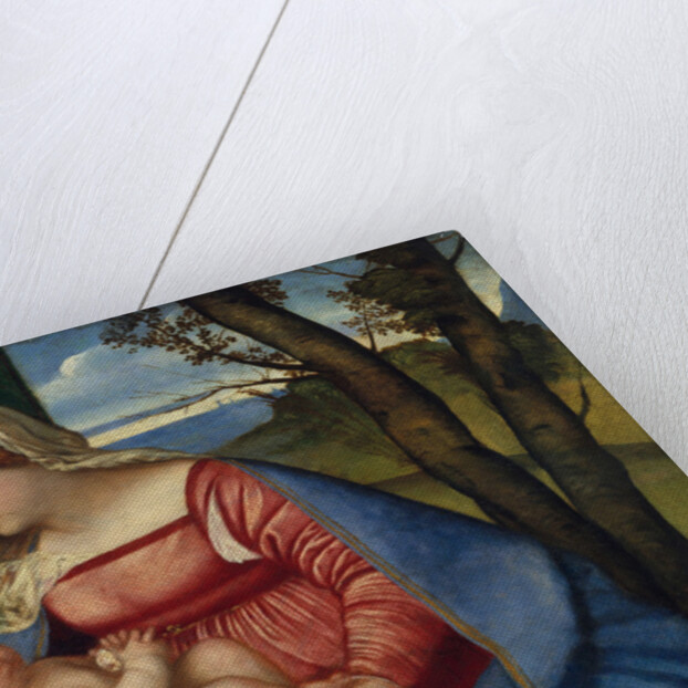 Madonna and Child, c.1508 by Titian