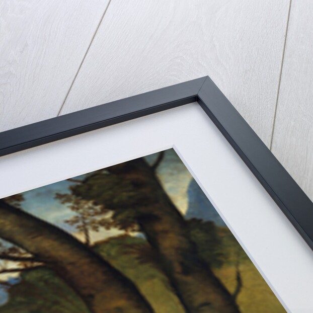 Madonna and Child, c.1508 by Titian