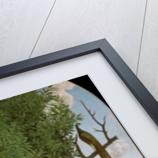 Madonna and Child with Saints, c.1520 by Gerolamo dai Libri