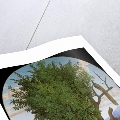 Madonna and Child with Saints, c.1520 by Gerolamo dai Libri