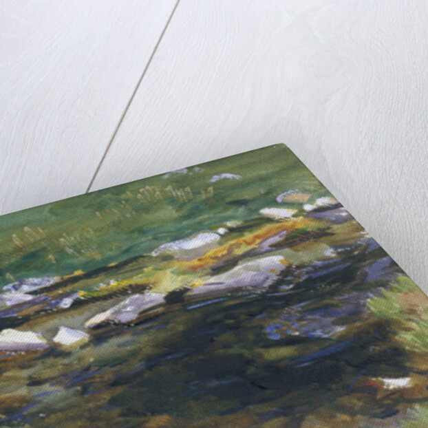 Brook and Meadow, c.1907 by John Singer Sargent