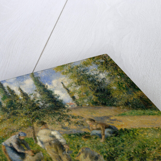 The Harvest, Pontoise, 1881 by Camille Pissarro