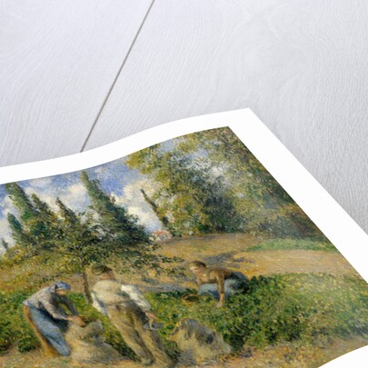 The Harvest, Pontoise, 1881 by Camille Pissarro