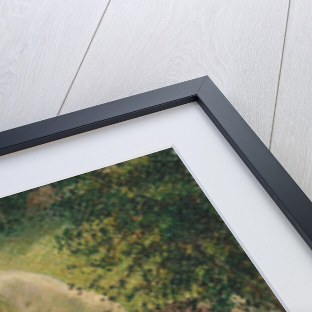 Bather in the Woods, 1895 by Camille Pissarro