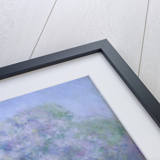 Île aux Orties near Vernon, 1897 by Claude Monet