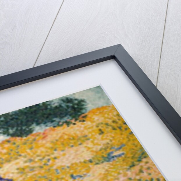 Valley with Fir, 1909 by Henri-Edmond Cross