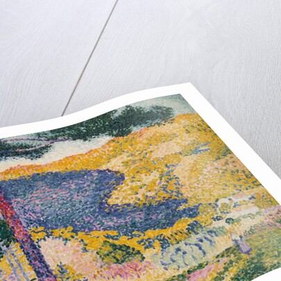 Valley with Fir, 1909 by Henri-Edmond Cross