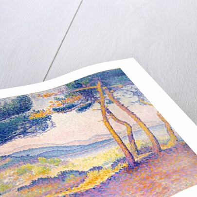 Pines Along the Shore, 1896 by Henri-Edmond Cross