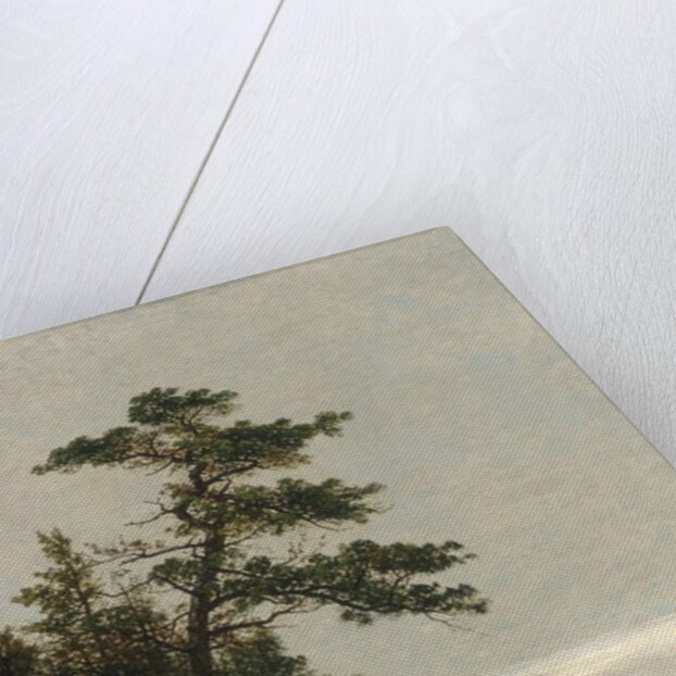 The Old Pine, Darien, Connecticut, 1872 by John Frederick Kensett