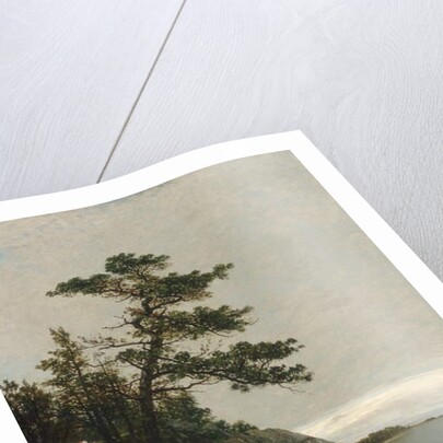 The Old Pine, Darien, Connecticut, 1872 by John Frederick Kensett