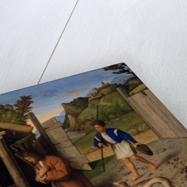 The Adoration of the Shepherds, c.1520 by Vincenzo di Biagio Catena