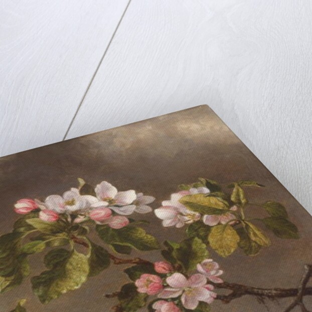 Hummingbird and Apple Blossoms, 1875 by Martin Johnson Heade
