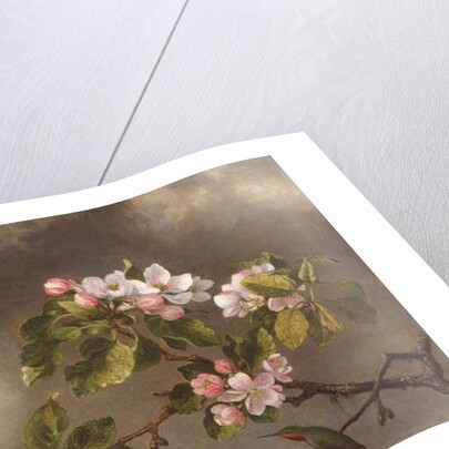 Hummingbird and Apple Blossoms, 1875 by Martin Johnson Heade