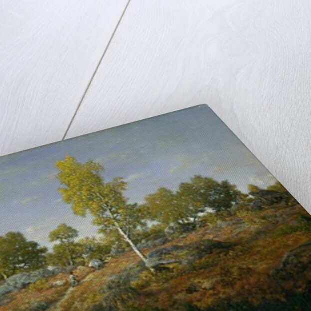 A Path among the Rocks, c.1861 by Pierre Etienne Theodore Rousseau