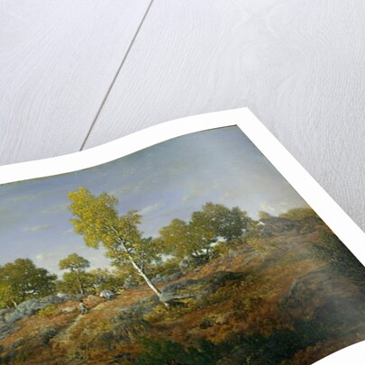 A Path among the Rocks, c.1861 by Pierre Etienne Theodore Rousseau