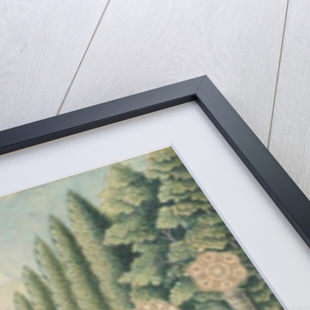 Coronation of the Czar Alexander I, Moscow, September 1801, 1801 by School Russian