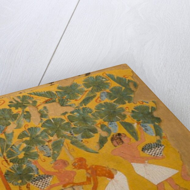 Winemaking, Tomb of Ipuy by Charles Wilkinson