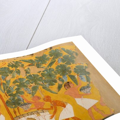 Winemaking, Tomb of Ipuy by Charles Wilkinson