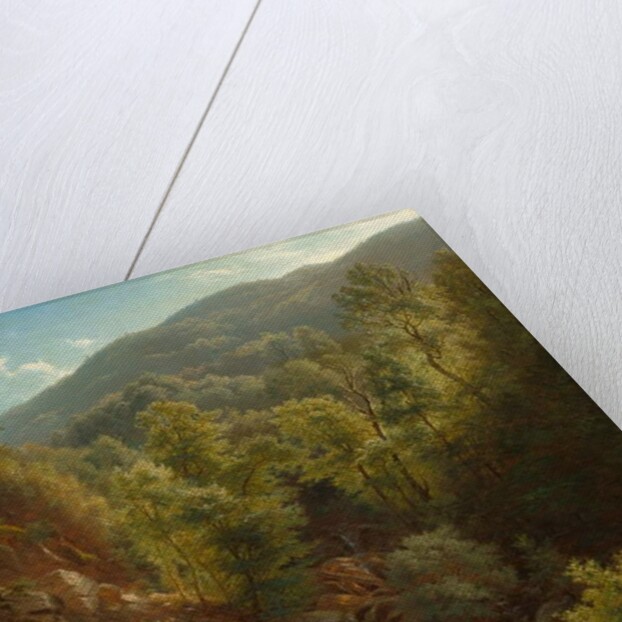 Scene in the Catskills, 1858 by Paul Weber