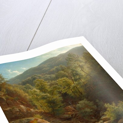 Scene in the Catskills, 1858 by Paul Weber
