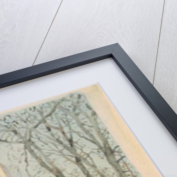 David Burns's Cottage and the Washington Monument, Washington D.C., 1892 by Walter Paris