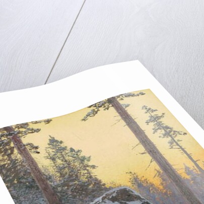 The Indian Bear Hunter, 1911 by Henry Francois Farny