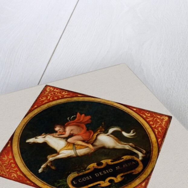 An Allegory of Passion, c.1532-36 by Hans Holbein the Younger