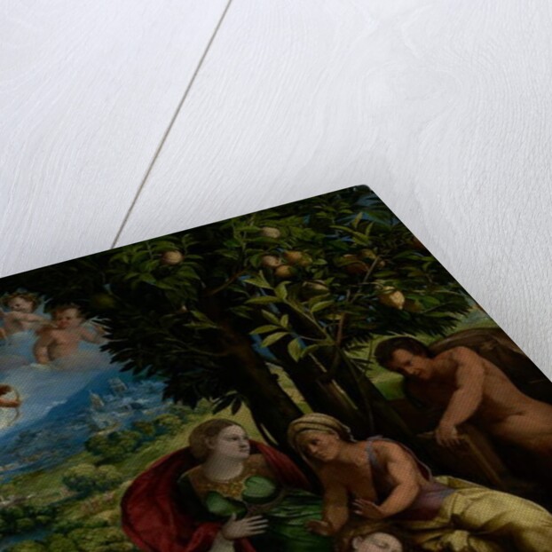 Mythological Scene, c.1524 by Dosso Dossi