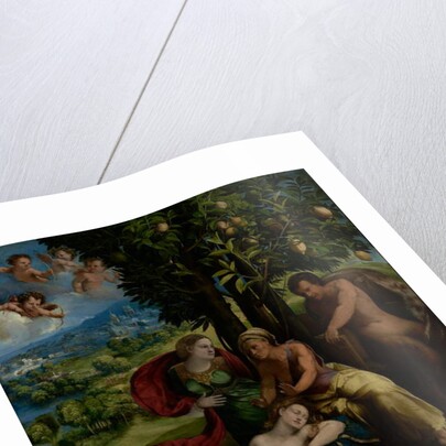 Mythological Scene, c.1524 by Dosso Dossi