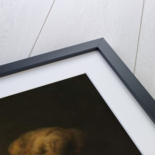 Old Woman Reading, c.1631-2 by Gerrit or Gerard Dou