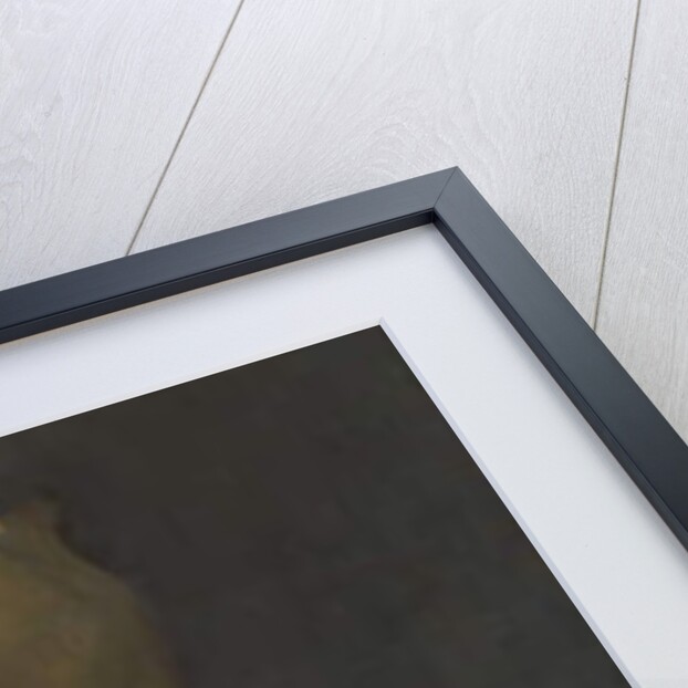 ‘Arrangement in Yellow and Gray’: Effie Deans, c.1876-78 by James Abbott McNeill Whistler