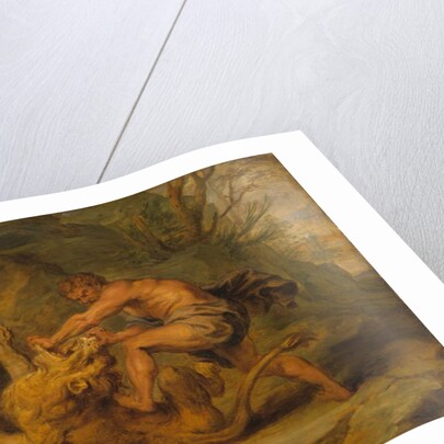 Samson and the Lion, c.1640 by Peter Paul (studio of) Rubens