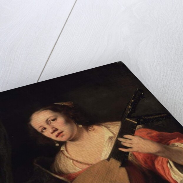 A Lady Playing the Lute, 1654 by Ferdinand Bol