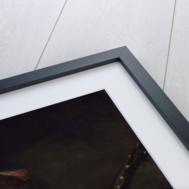 A Lady Playing the Lute, 1654 by Ferdinand Bol