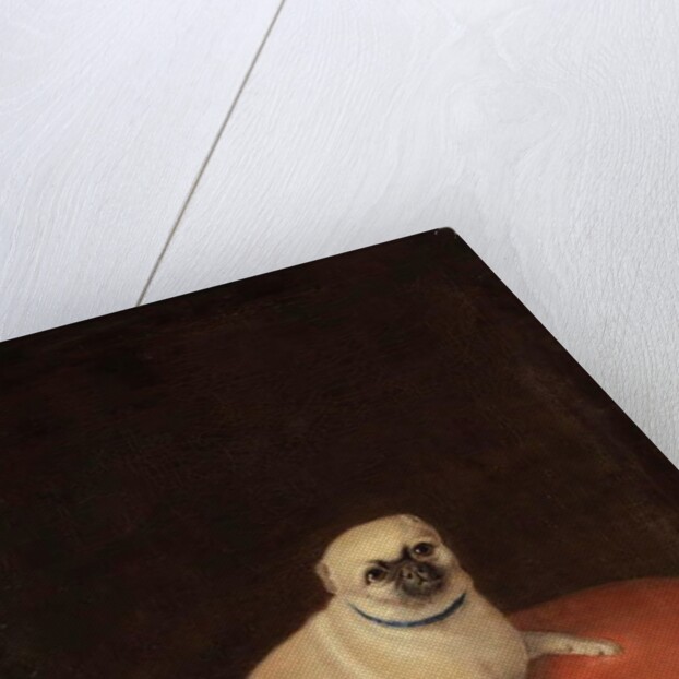 Pug by Anonymous Anonymous