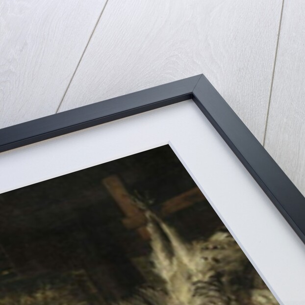 The Birdmarket, Amsterdam, c.1660-70 by Emanuel de Witte