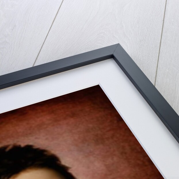 Portrait of Louis XIII, King of France, as a boy, c.1616 by Frans II Pourbus