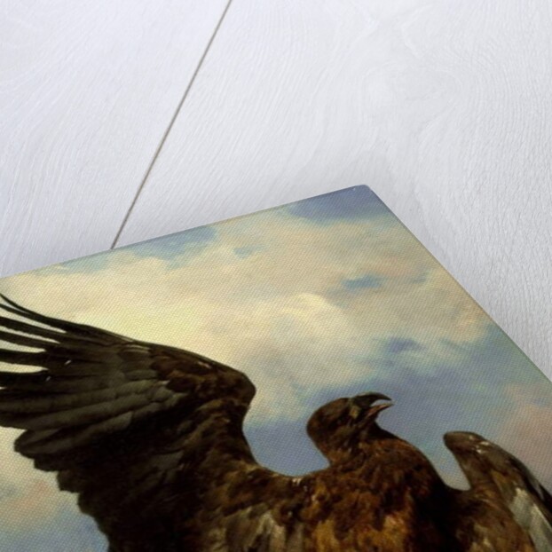 The Wounded Eagle, c.1870 by Rosa Bonheur