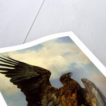 The Wounded Eagle, c.1870 by Rosa Bonheur