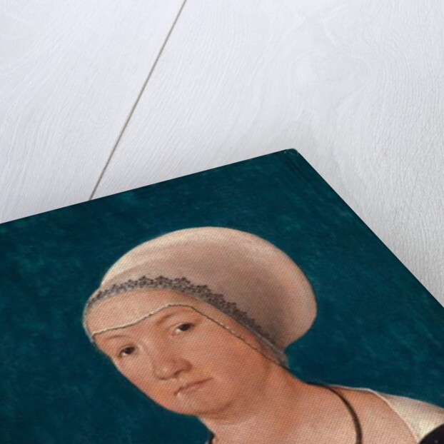 Portrait of the Wife of Jörg Fischer at Age 34, 1512 by Hans Holbein the Elder