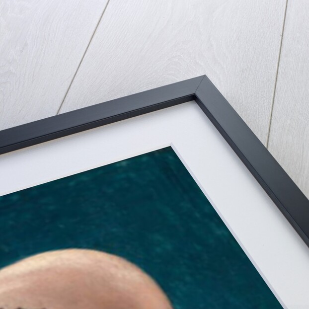 Portrait of the Wife of Jörg Fischer at Age 34, 1512 by Hans Holbein the Elder