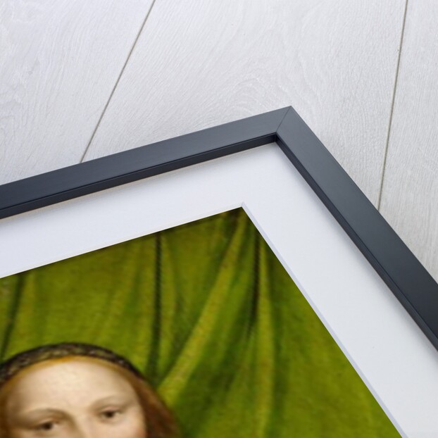 Venus with Cupid, 1526-28 by Hans Holbein the Younger