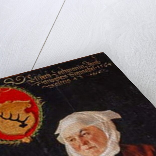 Portrait of Eslbeth Lochmann, wife of Jacob Schwytzer, 1564 by Tobias Stimmer