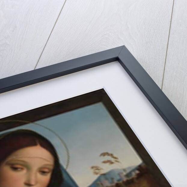 Madonna and Child, 1490-9 by Il (1450-1517) Francia