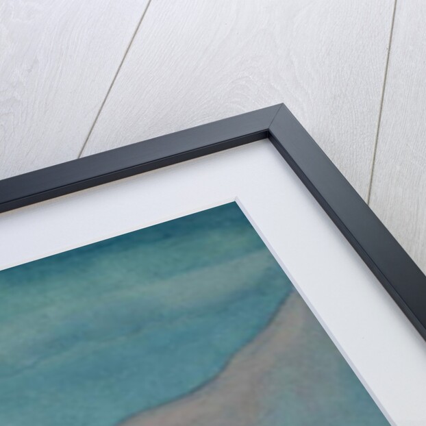 Newly Hatched Bird of Prey, c.1910 by Herbert E. Crowley