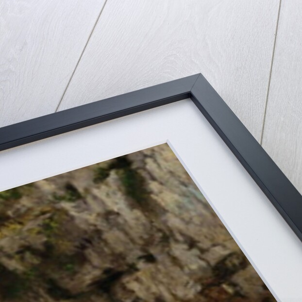 The Source of the Loue, 1864 by Gustave Courbet